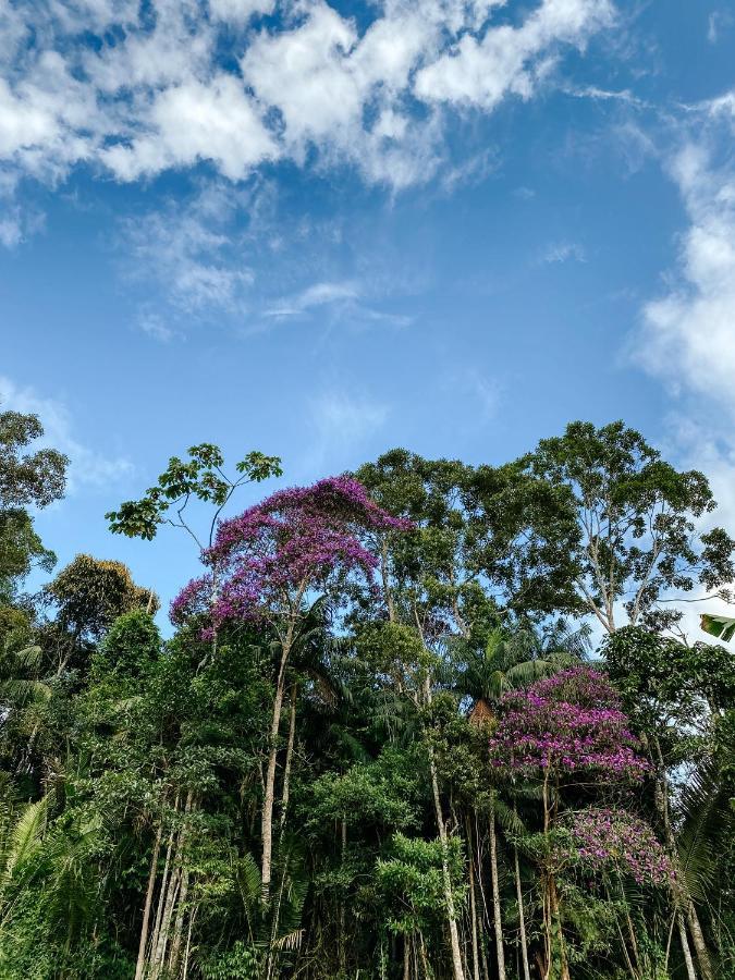 Sitio Ancestrale - Melhor Lugar De Santa Teresa-Es Villa Santa Teresa  Eksteriør bilde